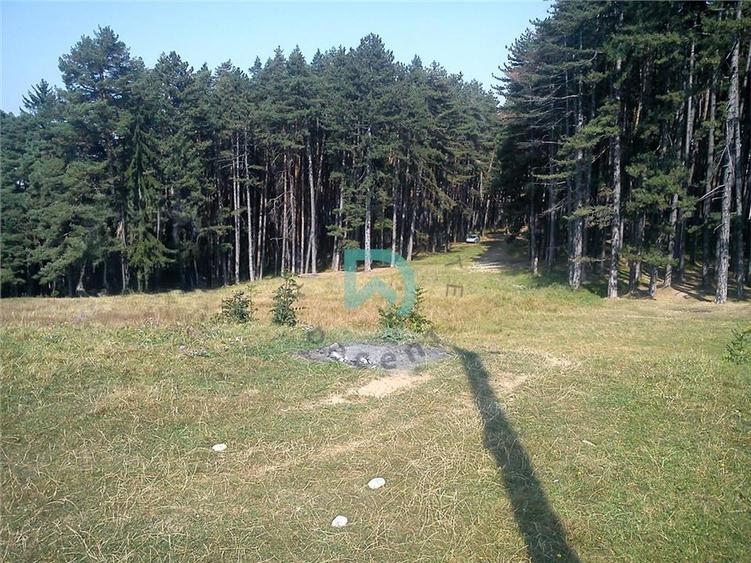 Teren Construcții intravilan de 1500 mp, în Poiana Angelescu
