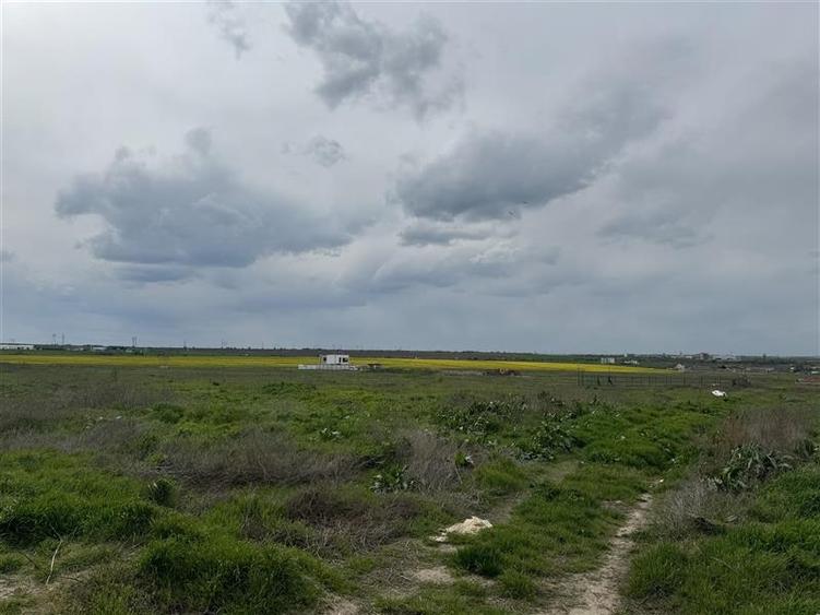 Teren Construcții intravilan de 2500 mp, în Boreal