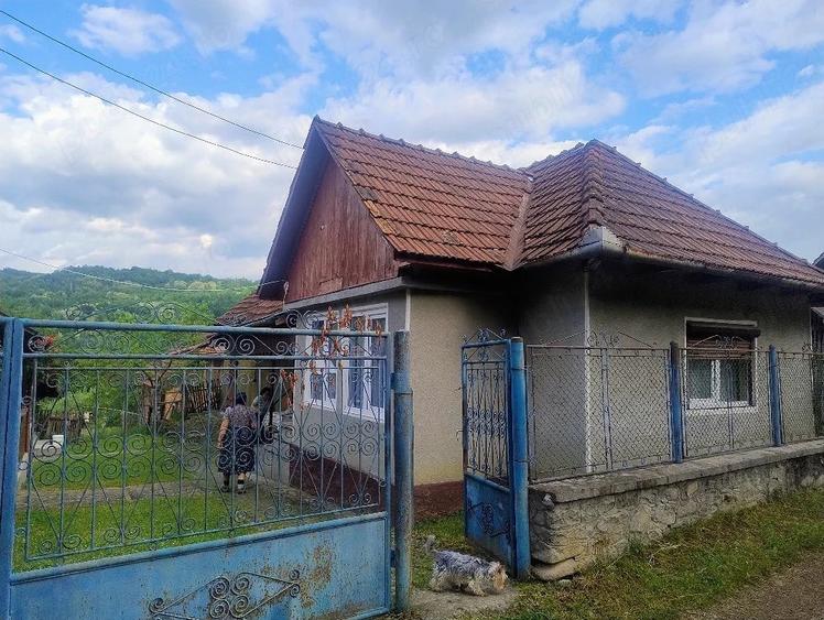 Casă cu 3 camere cu Teren 5000 Mp în Sârbi