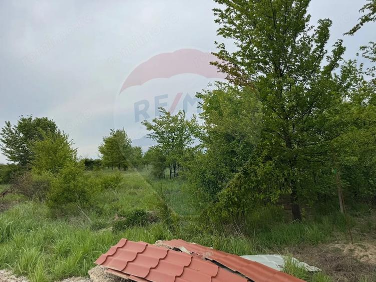 Teren de 960 mp, în Ciolpani