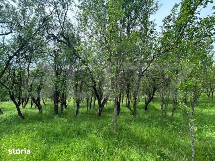 Casă cu 8 camere cu Teren 8700 Mp în Mintiu Gherlii
