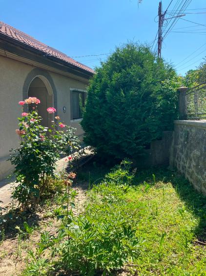 Casa  cu parau la limita proprietatii- zona submontana - 2