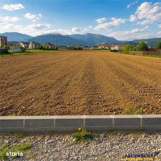 Teren de 10000 mp, în Tractorul