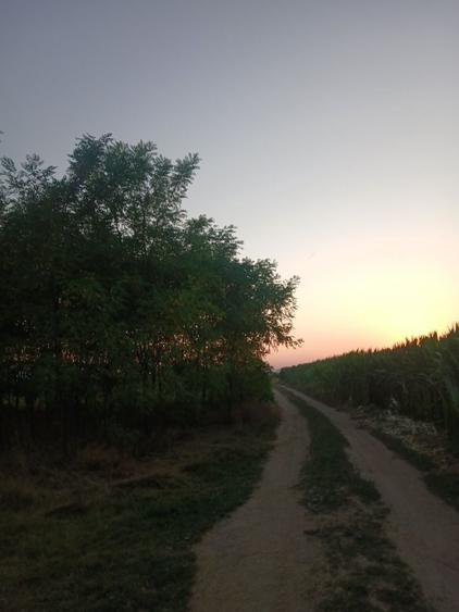 Teren de 2000 mp, în Horodnic