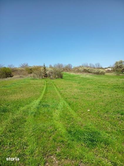Teren de 1700 mp, în Săndulești
