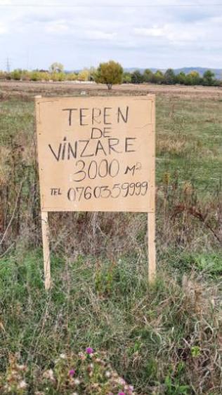 Teren Construcții intravilan de 3000 mp, în Bibești