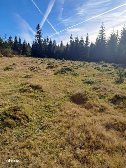 Teren de 5000 mp, în Mărișel