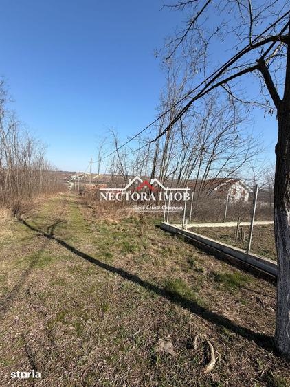 NECTORA IMOB-Teren Intravilan Lac Paleu, 886 mp, Front 27 ml,Utilitati - 8