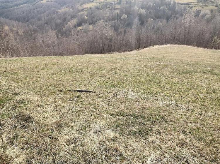 Teren de 4200 mp, în Bucea