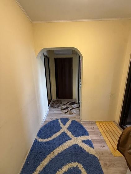 Apartament cu 3 camere semidecomandat, mobilat în Viziru 1