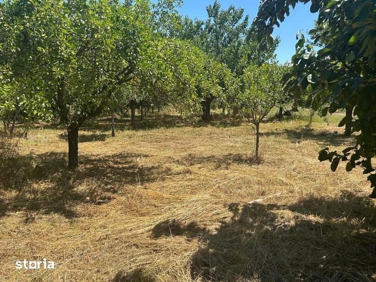 Casă cu 4 camere cu Teren 2300 Mp în Berislăvești