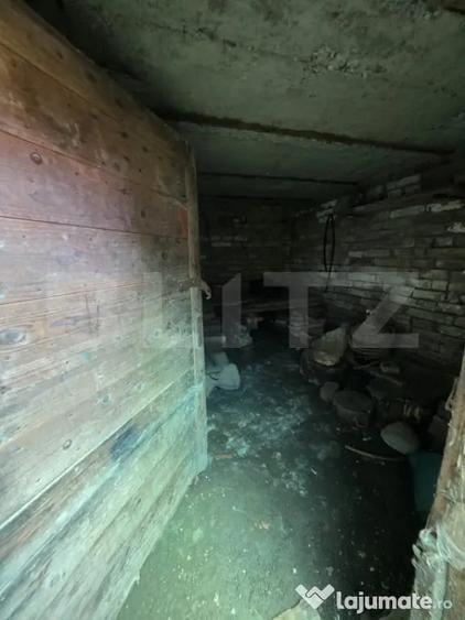 Casă cu 3 camere cu Teren 3900 Mp în Dumbrăvioara