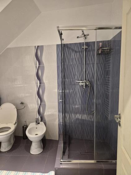 Casa de vanzare Lugoj - 3
