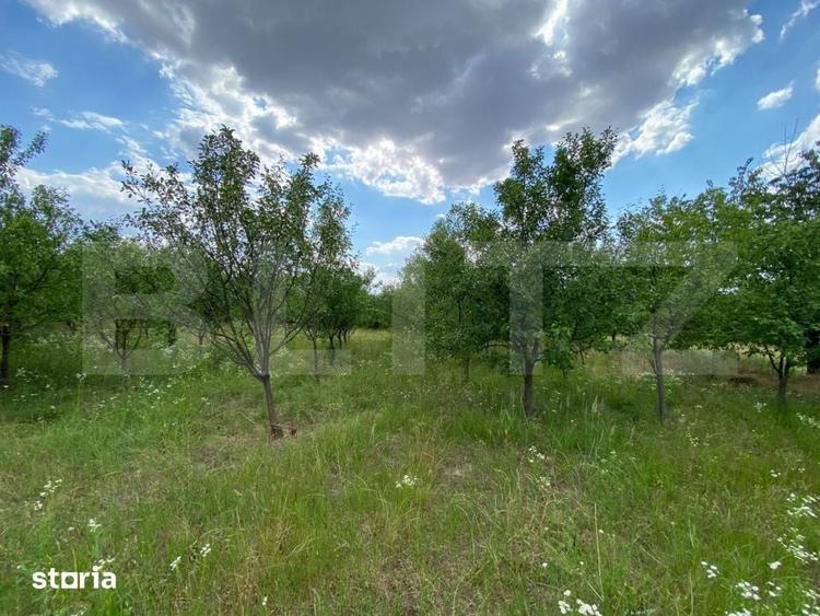 Casă cu 4 camere cu Teren 1275 Mp în Orțișoara