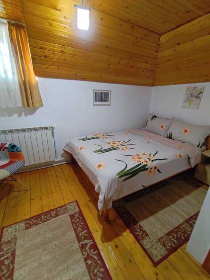 Casă cu 4 camere în Lepșa