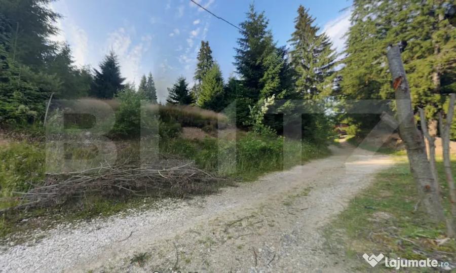 Teren de 990 mp, în Mănăștur