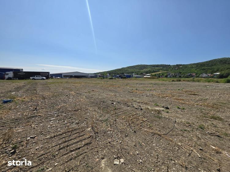 Teren de 40000 mp, în Tomești