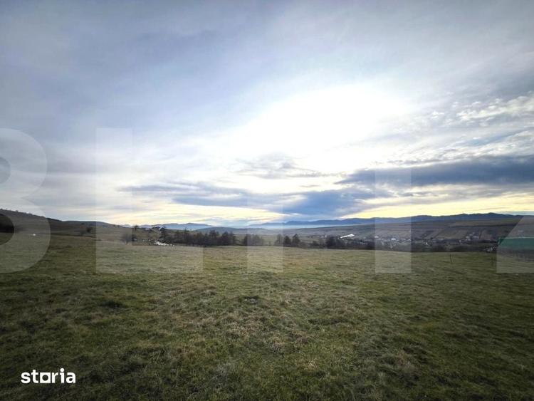 Teren de 8000 mp, în Ciurila