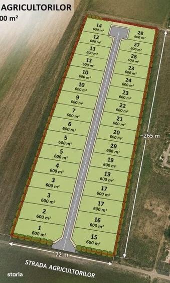 Teren Vama Veche 1,9ha (19.000m2) de la proprietar, strada asfaltata - 3
