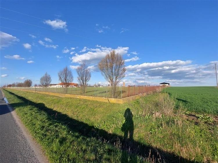 Teren agricol extravilan de 10000 mp, în Fântânele