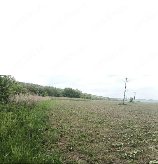 Teren de 15000 mp, în Șendriceni