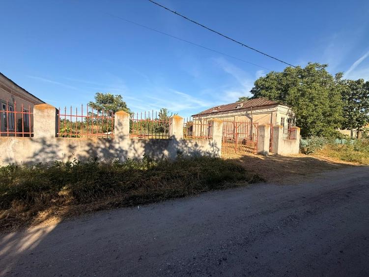 Casă individuală cu 3 camere cu Teren 5783 Mp în Segarcea-Vale