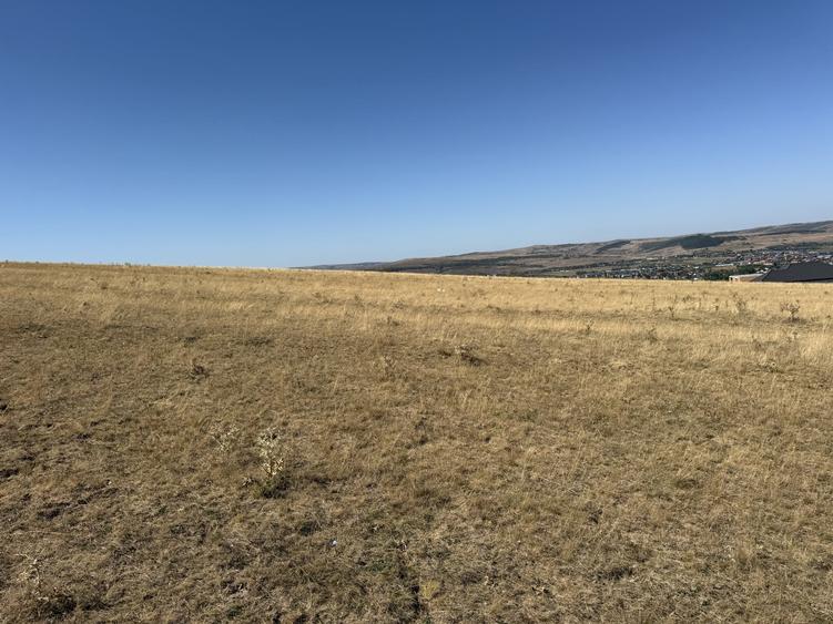 Teren Construcții intravilan de 945 mp, în Jucu de Sus