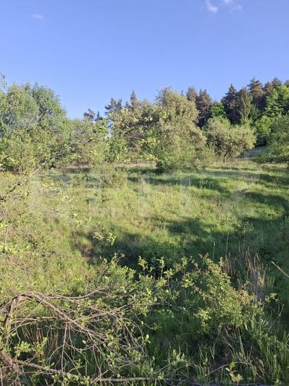 Teren Construcții extravilan de 10000 mp, în Tărlungeni