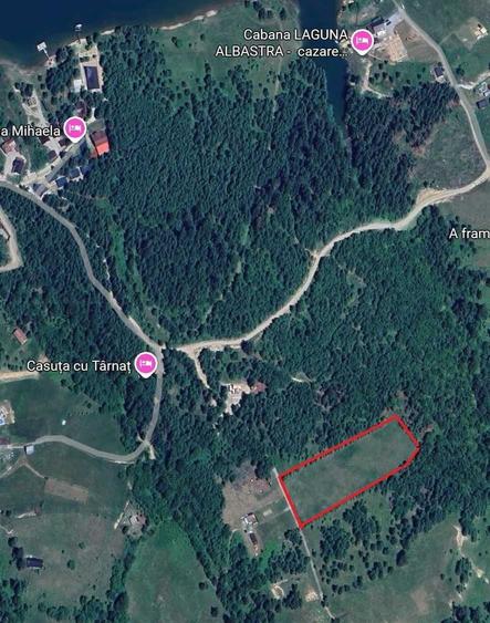 Teren de 9202 mp, în Colibița