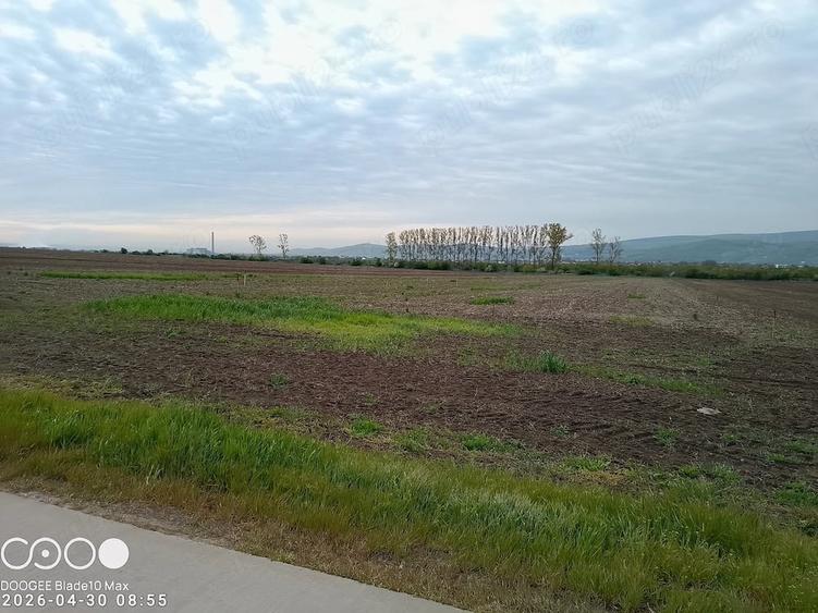 Teren de 5000 mp, în Dancu