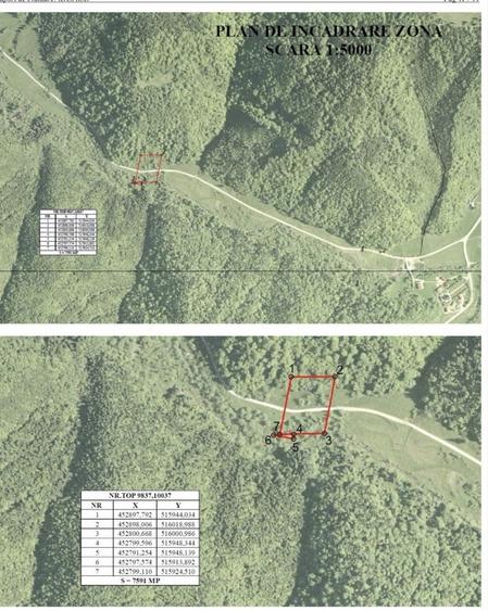 Vand teren 7500 mp Plaiul Foii Barsa lui Bucur - 15