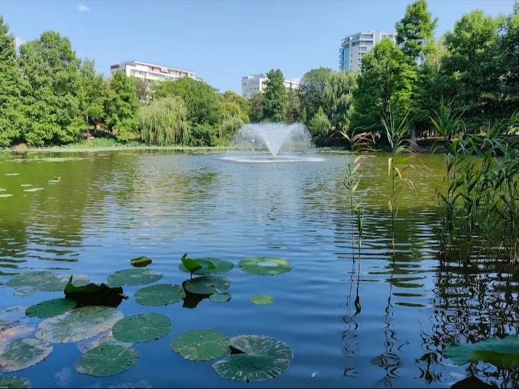 Casă cu 4 camere cu Teren 200 Mp în Parcul Circului