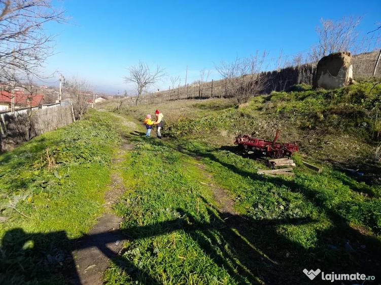 Teren de 600 mp, în Niculițel