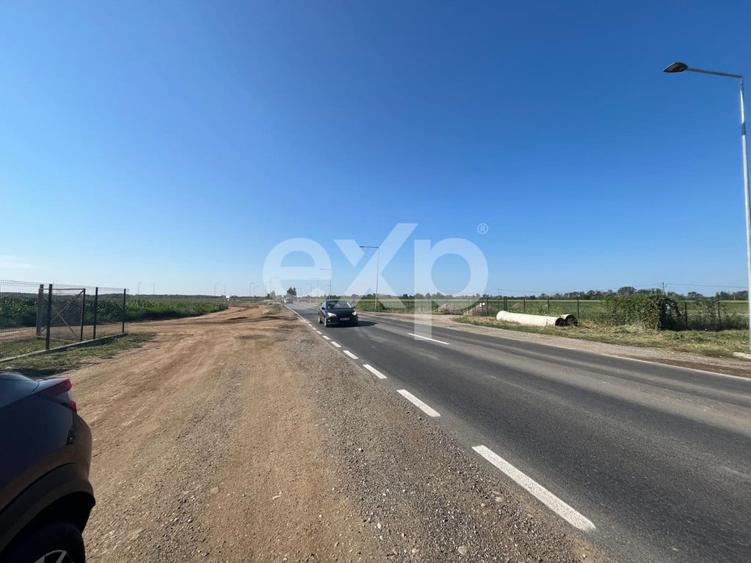 Teren intravilan premium 15.000 mp la DN61 langa Centura G - 11