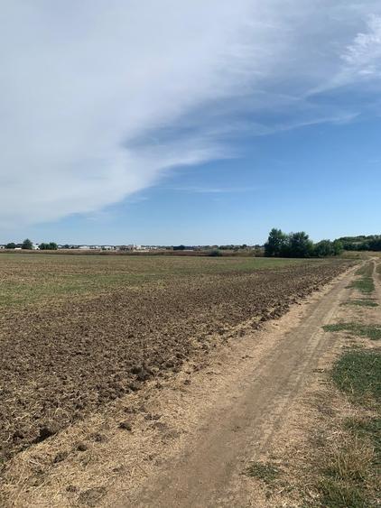 Teren agricol intravilan de 4000 mp, în Dimieni