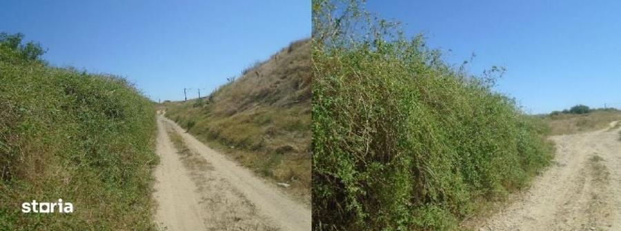 Teren de 13600 mp, în Vădeni
