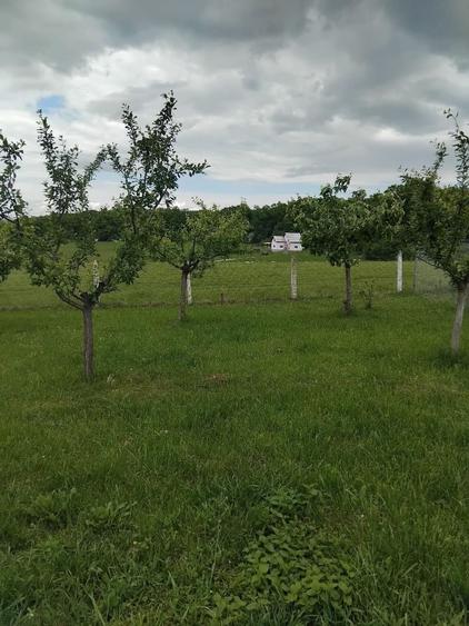 Spațiu comercial, în Cisnădie