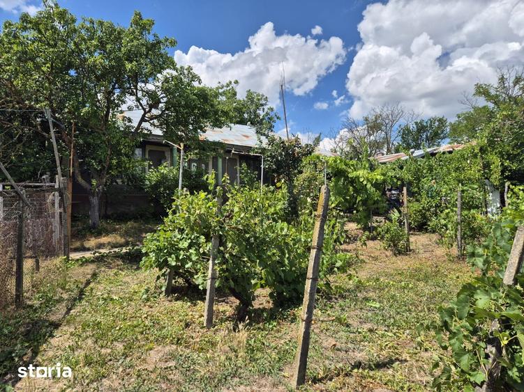 Casă cu 5 camere cu Teren 5867 Mp în Vârlezi