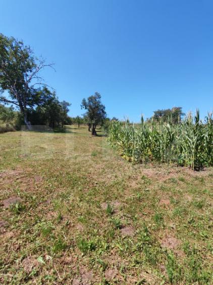 Casa 4 camere, 240 mp, teren 4000 mp, zona Pinticu - 14