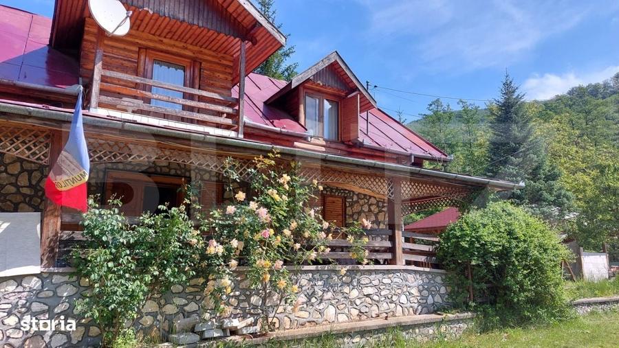 Spațiu comercial, de 450 mp, în Costești