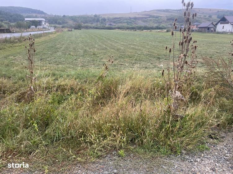Teren intravilan, parcelabil, Str Zavoaie toate utilitatile 10000 euro - 3