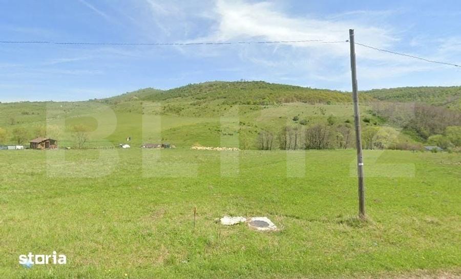 Teren de 1551 mp, în Ciurila