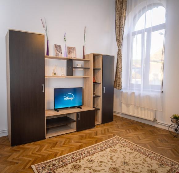 Proprietar, inchiriez apartament 2 camere, decomandat, Centru- Teatrul Dramatic - 8