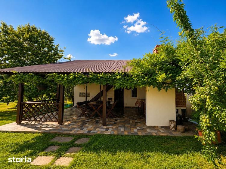 Casă cu 5 camere cu Teren 7320 Mp în Curcani