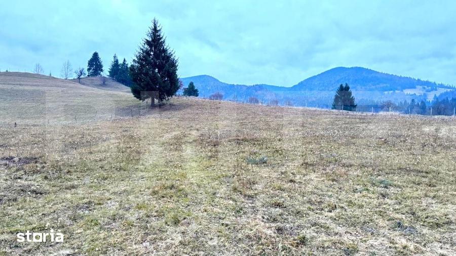 Teren de 2500 mp, în Central