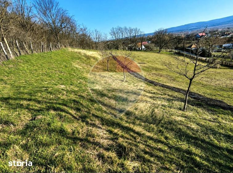 Teren de 2853 mp, în Urechești