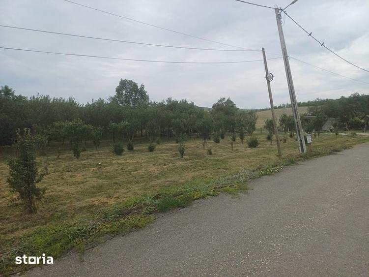 Teren de 1200 mp, în Borșa