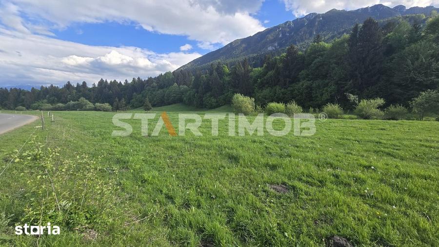 Teren de 7600 mp, în Plaiul Foii