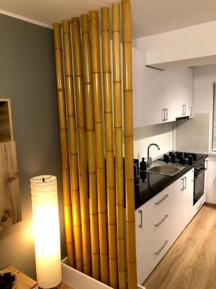 Apartament cu 2 camere decomandat, mobilat în Theodor Pallady