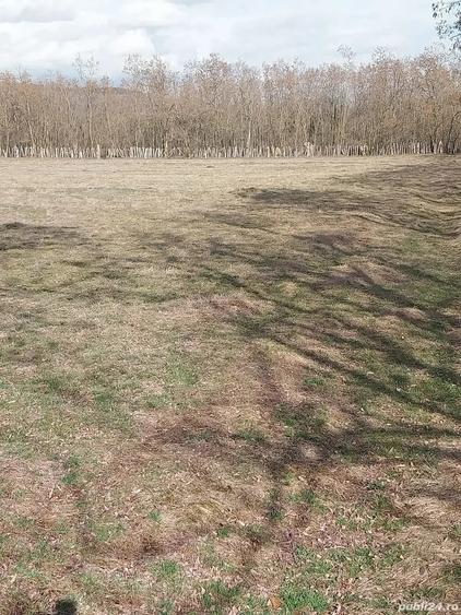 Teren de 2500 mp, în Polovragi
